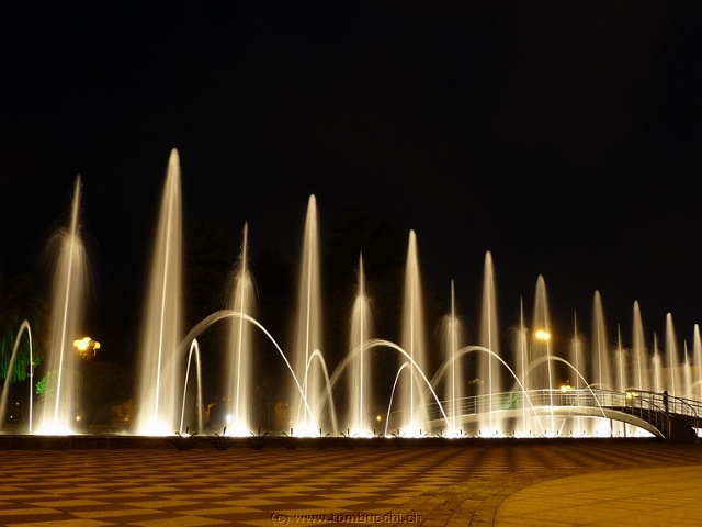 0365